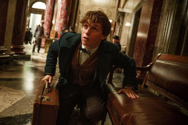 fantastic-beasts-and-where-to-find-them-photo_0